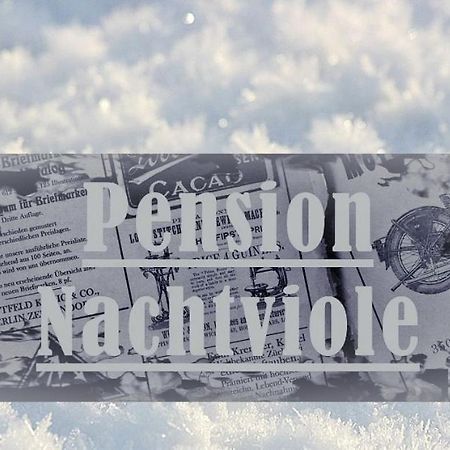 Pension Nachtviole Hüttau Eksteriør billede